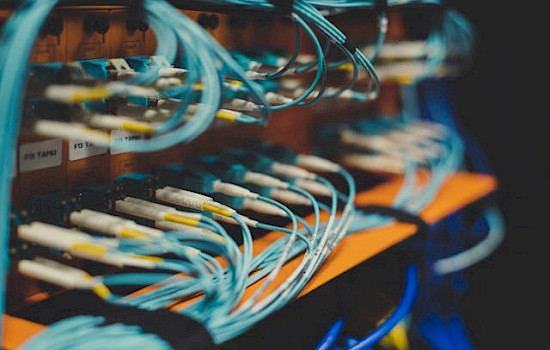 Digitech backbone